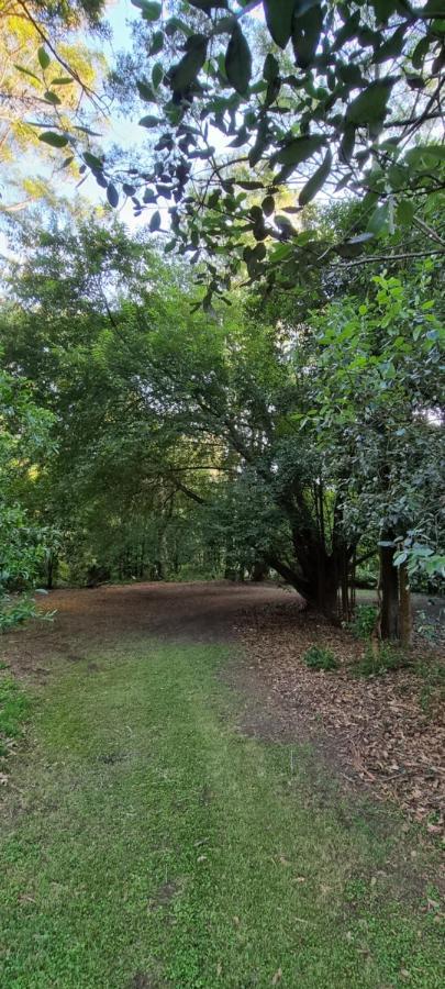 Bird Songs Getaway Accommodation Cabbage Tree Creek Eksteriør bilde