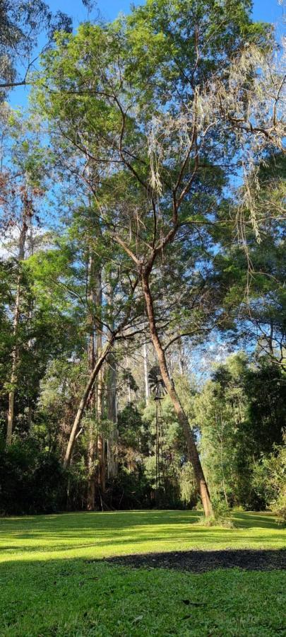 Bird Songs Getaway Accommodation Cabbage Tree Creek Eksteriør bilde